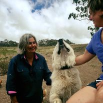 12729275_1679943928911722_2917078478239742567_n